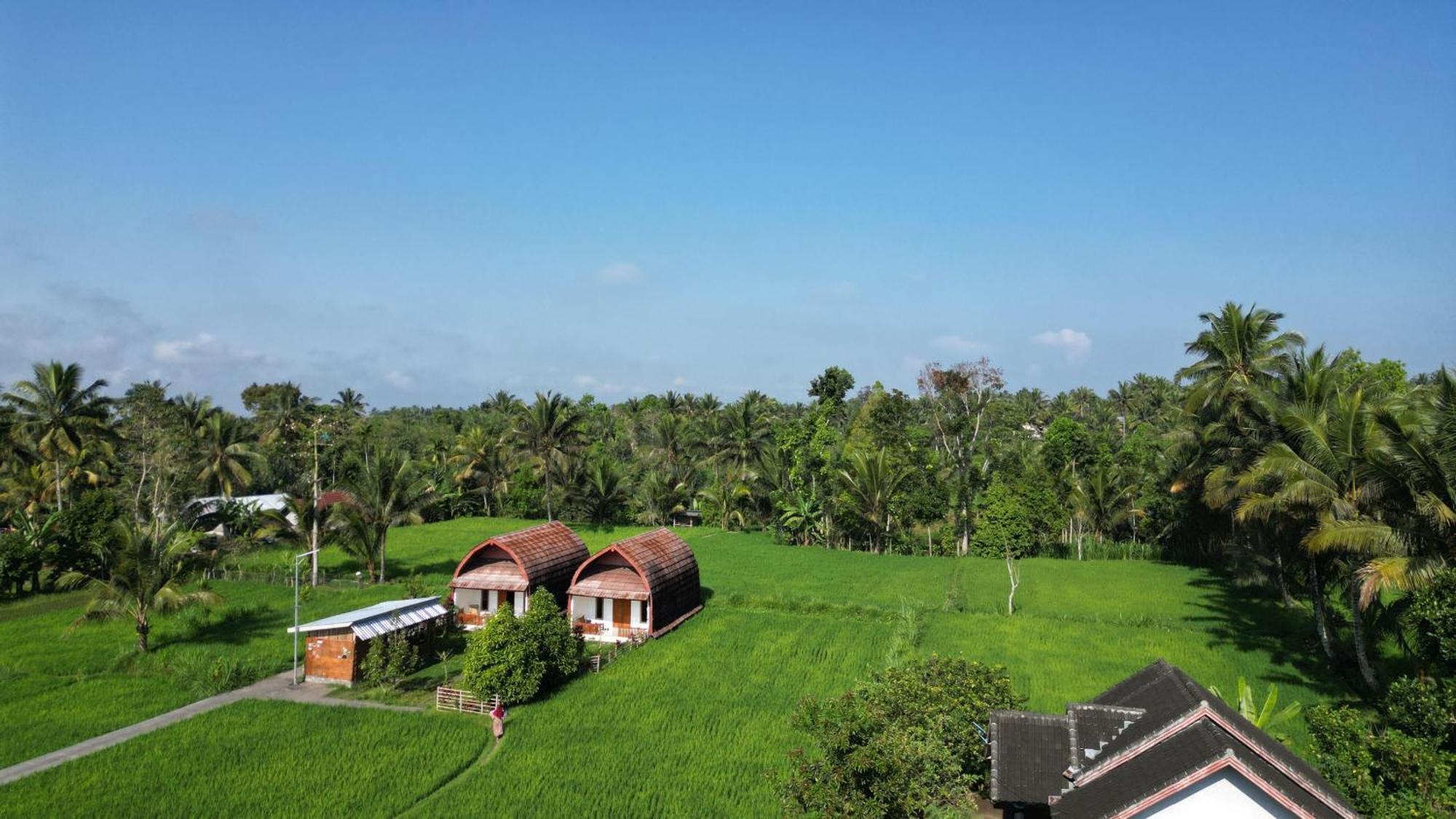 Villa Bale Tetebatu Exterior foto