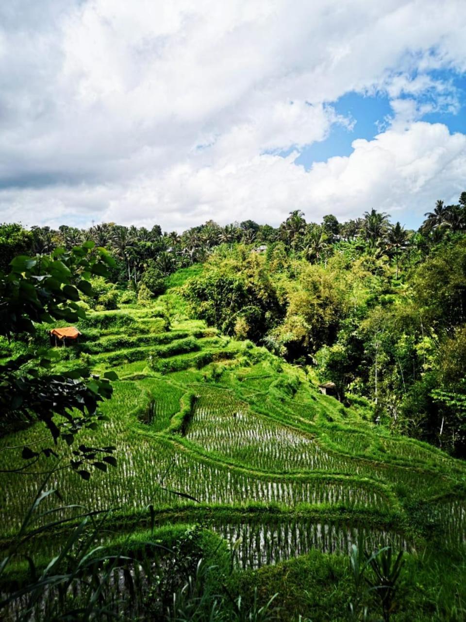 Villa Bale Tetebatu Exterior foto